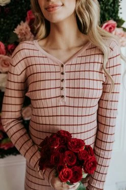 Tea N Rose DRESSES THE COMING UP ROSES DRESS IN PINK STRIPES