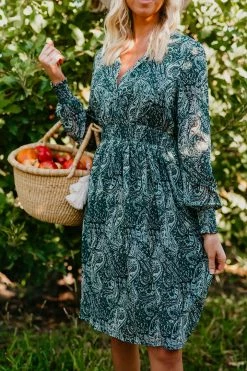 THE PINK DESERT PANDORA DRESS IN GREEN PAISLEY PD EXCLUSIVES