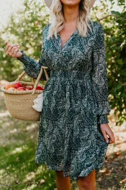 THE PINK DESERT PANDORA DRESS IN GREEN PAISLEY PD EXCLUSIVES