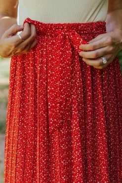 Sweet Rain THE ROSALEE PLEATED MIDI SKIRT IN RED NEW ARRIVALS