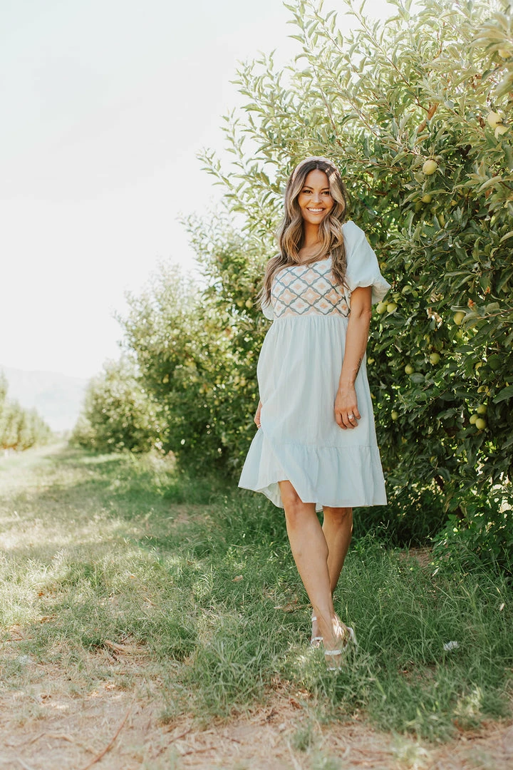 Polagram THE BRICE EMBROIDERED MINI DRESS IN LIGHT BLUE NEW ARRIVALS 2 Polagram THE BRICE EMBROIDERED MINI DRESS IN LIGHT BLUE NEW ARRIVALS