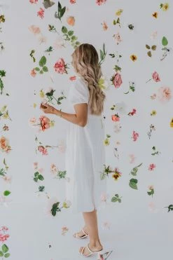 Polagram/Baevely THE WHITNEY BUTTON DOWN DRESS IN IVORY