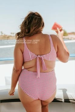 PINK DESERT TIE FRONT ONE PIECE SWIMSUIT IN SUMMER GINGHAM