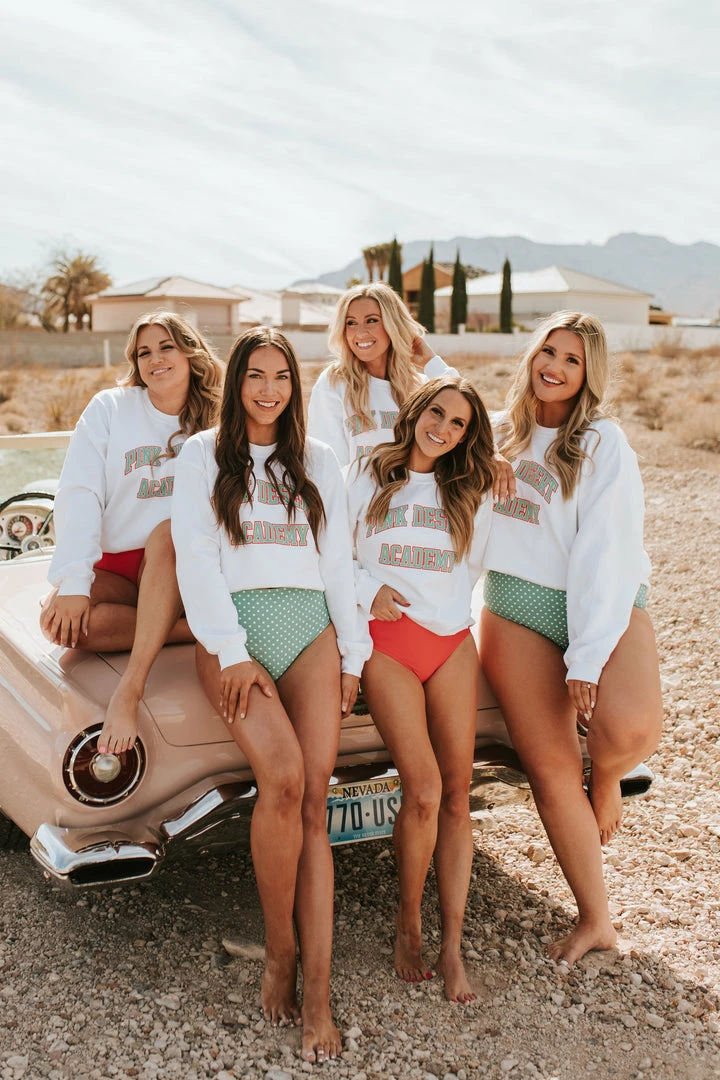 THE PINK DESERT ACADEMY PULLOVER IN WHITE BY PINK DESERT 2 THE PINK DESERT ACADEMY PULLOVER IN WHITE BY PINK DESERT