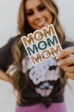 ACCESSORIES THE PINK DESERT TRIPLE MOM STICKER