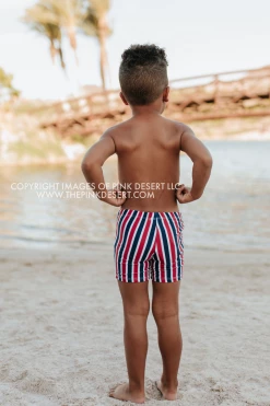 PINK DESERT BOYS EUROPEAN CUT SWIM SHORT IN AMERICANA STRIPE