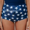 PINK DESERT HIGH WAIST SWIM BOTTOM IN SPANGLED STAR PRINT